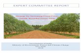 EXPERT COMMITTEE REPORT - NTPS