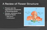 A Review of Flower Structure - unri.ac.id