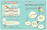 IESD *ESD Education for Sustainable Development ESD ESD ...