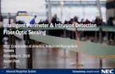 Intelligent Perimeter & Intrusion Detection Fiber Optic ...