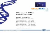 Plasmid DNA Purification - BIOKÉ