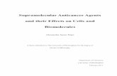 Supramolecular Anticancer Agents and their Effects on ...