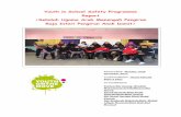 Youth in School Safety Programme Report