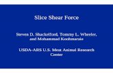 Slice Shear Force - Meat Science