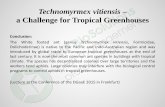 Technomyrmex vitiensis a Challenge for Tropical Greenhouses