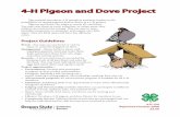 4-H Pigeon and Dove Project - uidaho.edu