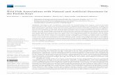 Reef Fish Associations with Natural and Artificial ...