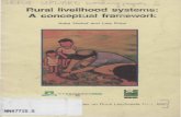 Rural livelihood systems: A conceptual framework