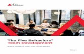 The Five Behaviors Team Development - DiSC Profile