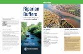 Overview Riparian Buffers