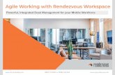 Agile Working with Rendezvous Workspace