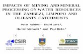 IMPACTS OF MINING AND MINERAL PROCESSING ON WATER ...