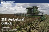 2021 Agricultural Outlook - USDA