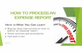 HOW TO PROCESS AN EXPENSE REPORT