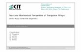 Fracture Mechanical Properties of Tungsten Alloys