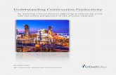 Understanding Construction Productivity