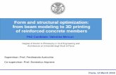 Form and structural optimization: from beam modeling to 3D ...
