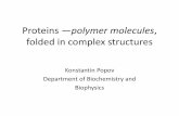 Proteins —polymer molecules