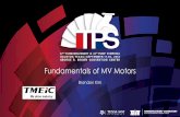 Fundamentals of MV Motors