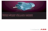 M2QA Series IEC Low-voltage Three-Phase Induction Motors