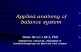 Applied anatomy of balance system