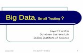 Big Data Small Testing - IIT Hyderabad