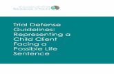 Trial Defense Guidelines: Representing a Child Client