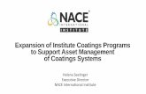 Expansion of Institute Coatings Programs to Support Asset ...