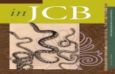inJCB - John Carter Brown Library