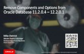 Remove Components and Options from Oracle Database 11.2.0 ...