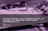 Controlling Your Exposure: A Guide to Digital Risk and ...
