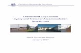 Chelmsford City Council Gypsy and Traveller Accommodation ...