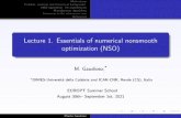 Lecture 1. Essentials of numerical nonsmooth optimization ...