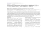 Original Article Immunohistochemical expression of IMP3 ...