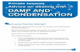 Damp and condensation booklet - Harrogate