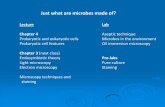 Just what are microbes made of? - San Diego Miramar College