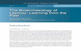 The Bioarchaeology of Leprosy: Learning from the Past