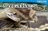 Snakes Up Close - High Noon Books
