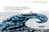 Current challenges to developing country debt sustainability