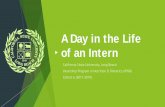 A Day in the Life of an Intern