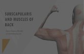 SUBSCAPULARIS AND MUSCLES OF BACK