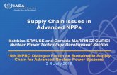 Supply Chain Issues in Advanced NPPs