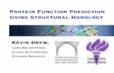 Protein Function Prediction Using Structural Homology