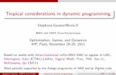 Tropical considerations in dynamic programming