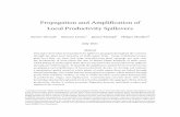 Propagation and Ampli˙cation of Local Productivity Spillovers