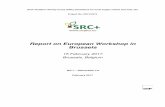 Report on European Workshop in Brussels