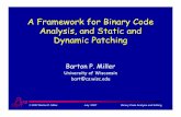 A Framework for Binary Code Analysis, and Static and ...