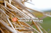 Fields of Gold, Deckles & MoUlds