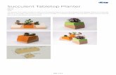 Succulent Tabletop Planter - learn.kregtool.com