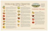 Heirloom Apple Varieties H e i r l o m Orchar ds sliced ...